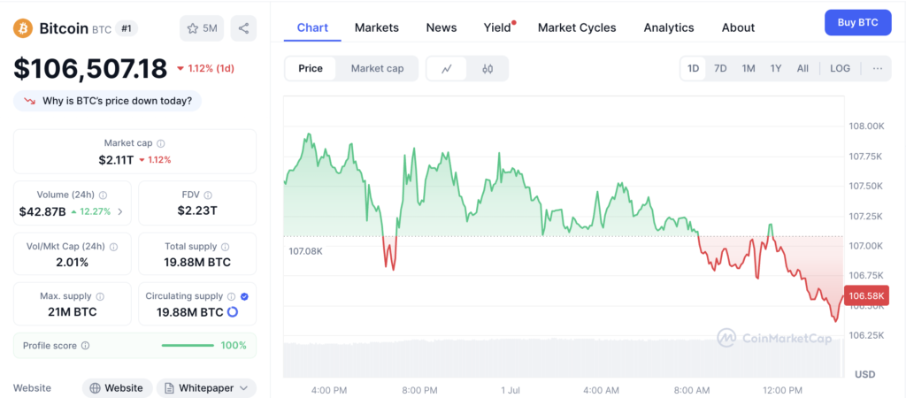 نمودار قیمت و اطلاعات بازار بیت کوین - منبع: CoinMarketCap